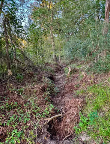 $1,000,000 | 5 Hoke Road, Richards, TX 77873