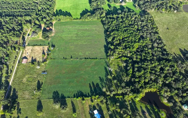 $1,000,000 | 5 Hoke Road, Richards, TX 77873