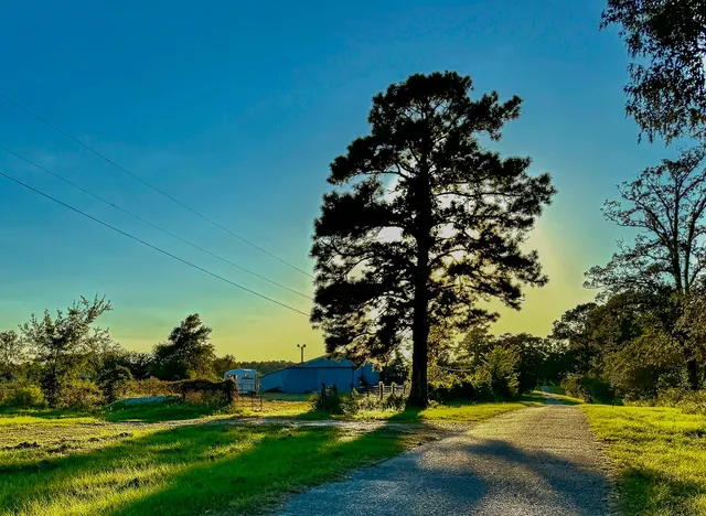 $1,000,000 | 5 Hoke Road, Richards, TX 77873