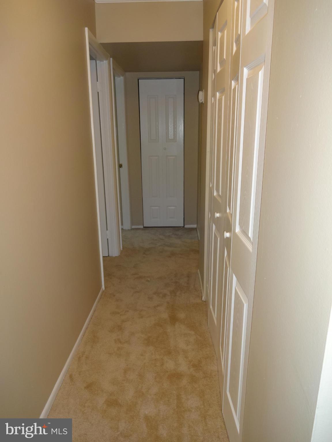 5040 7th Road South, Unit 101 Arlington, VA 22204 - Photo 14 of 27 Interior (General)