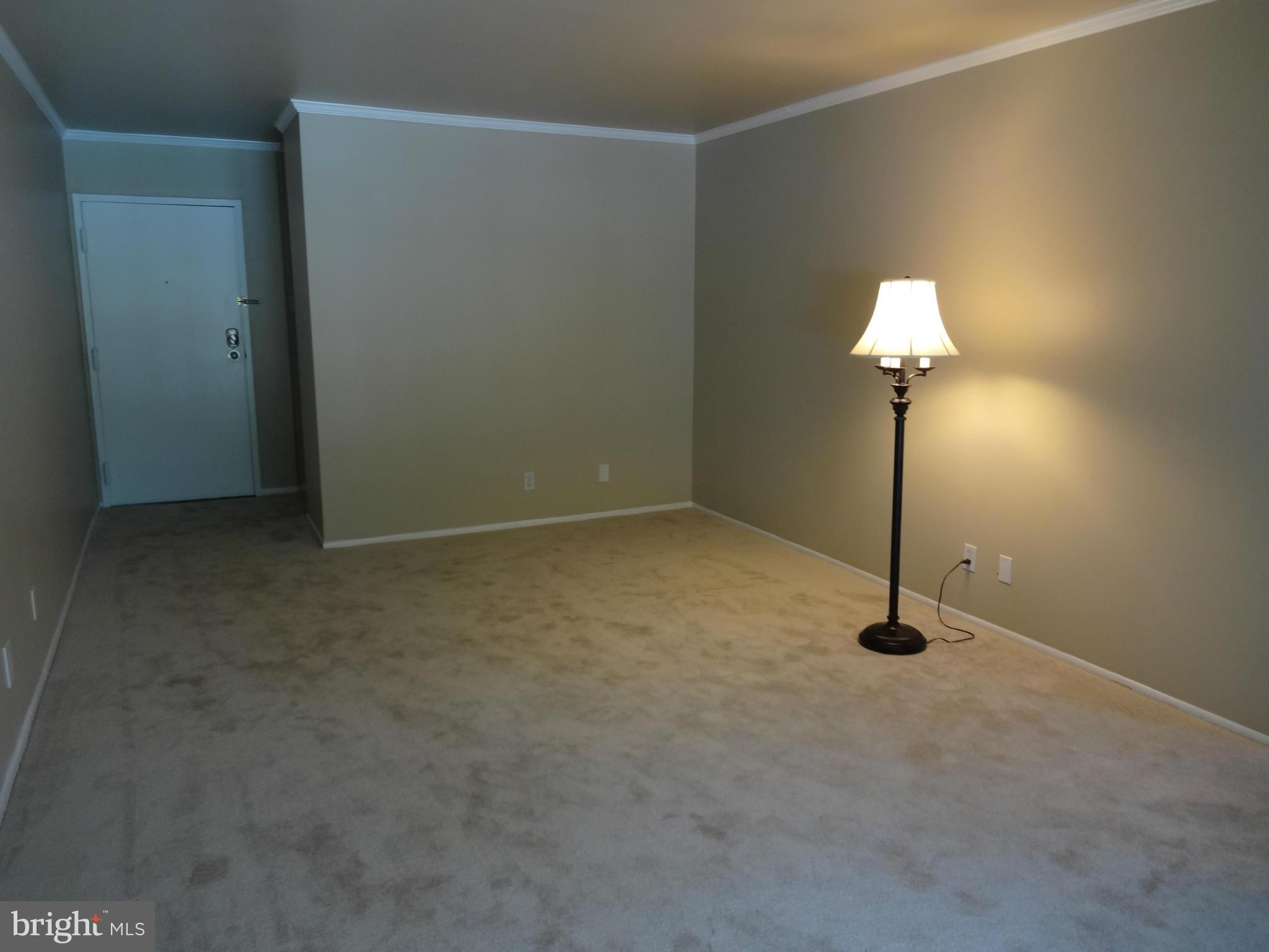 5040 7th Road South, Unit 101 Arlington, VA 22204 - Photo 8 of 27 Living Room