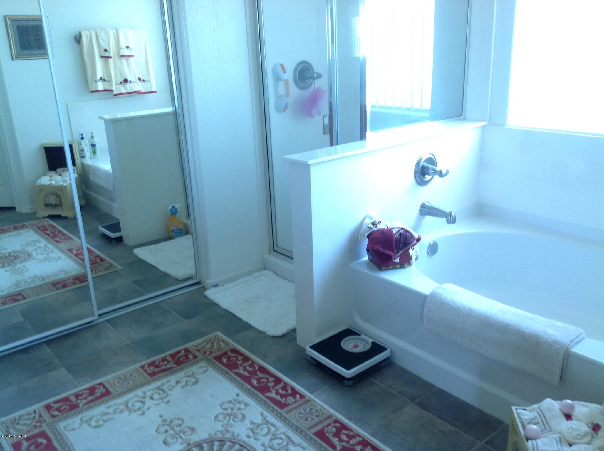 10035 Barley Road Florence, AZ 85132 - Photo 20 of 37 Separate Tub and Shower