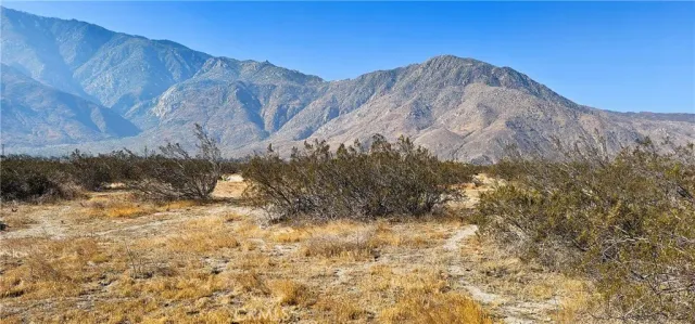 a view of a dry yard with mountains in the background