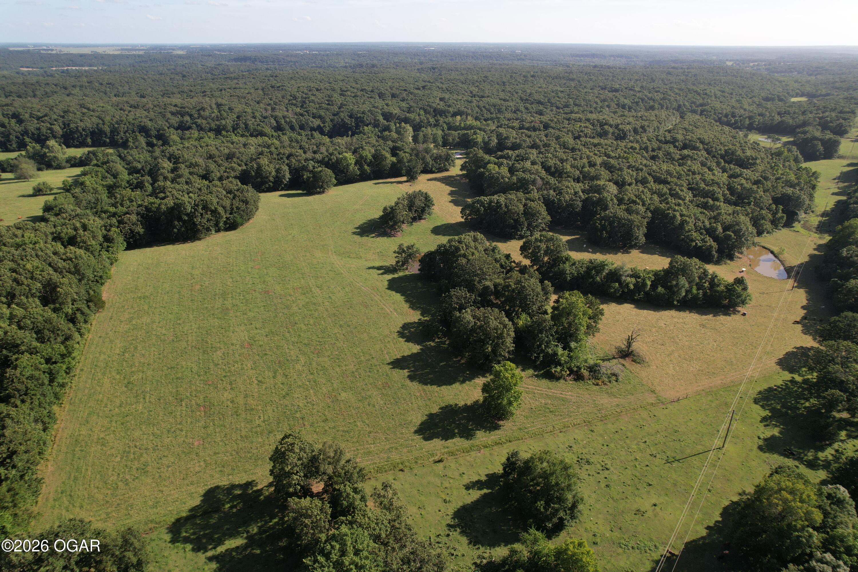 6731 Raccoon Road Pierce City, MO 65723 - Photo 28 of 103 Gallery Image 28
