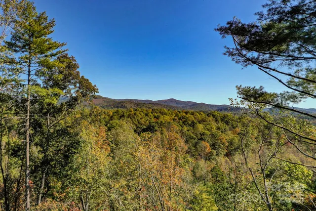a view of a large tree with a mountain in the background