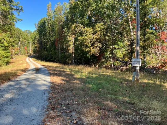 a view of a yard with trees