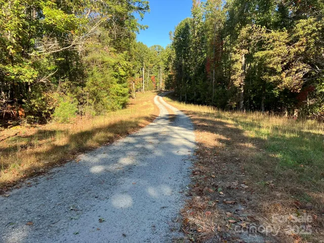 a view of a yard with trees