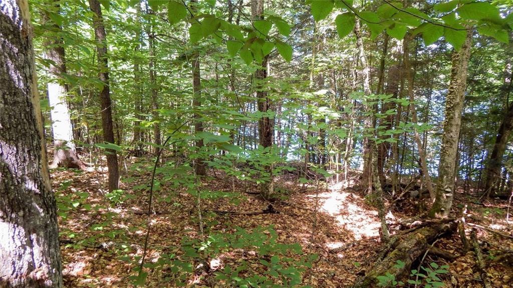 Lot 10 Shue Road Ripley, ME 04930 - Photo 13 of 25 Photo