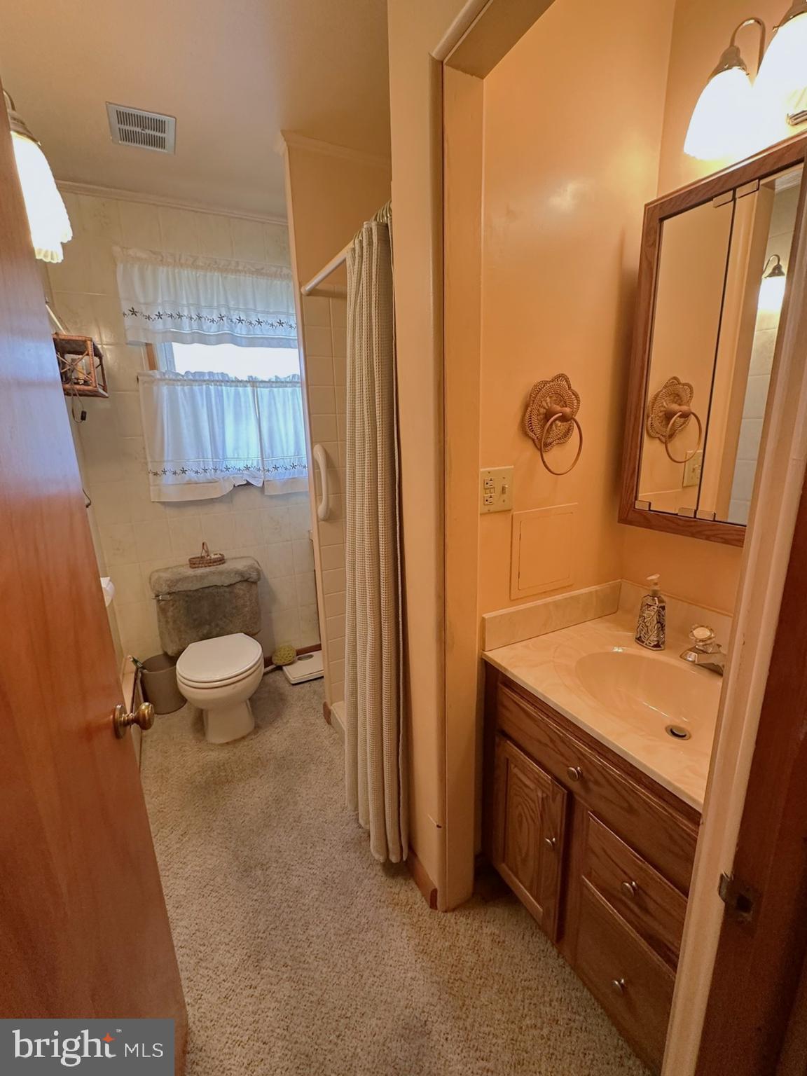 7 Glendale Street Hanover, PA 17331 - Photo 19 of 38 a bathroom with a sink a toilet and a mirror