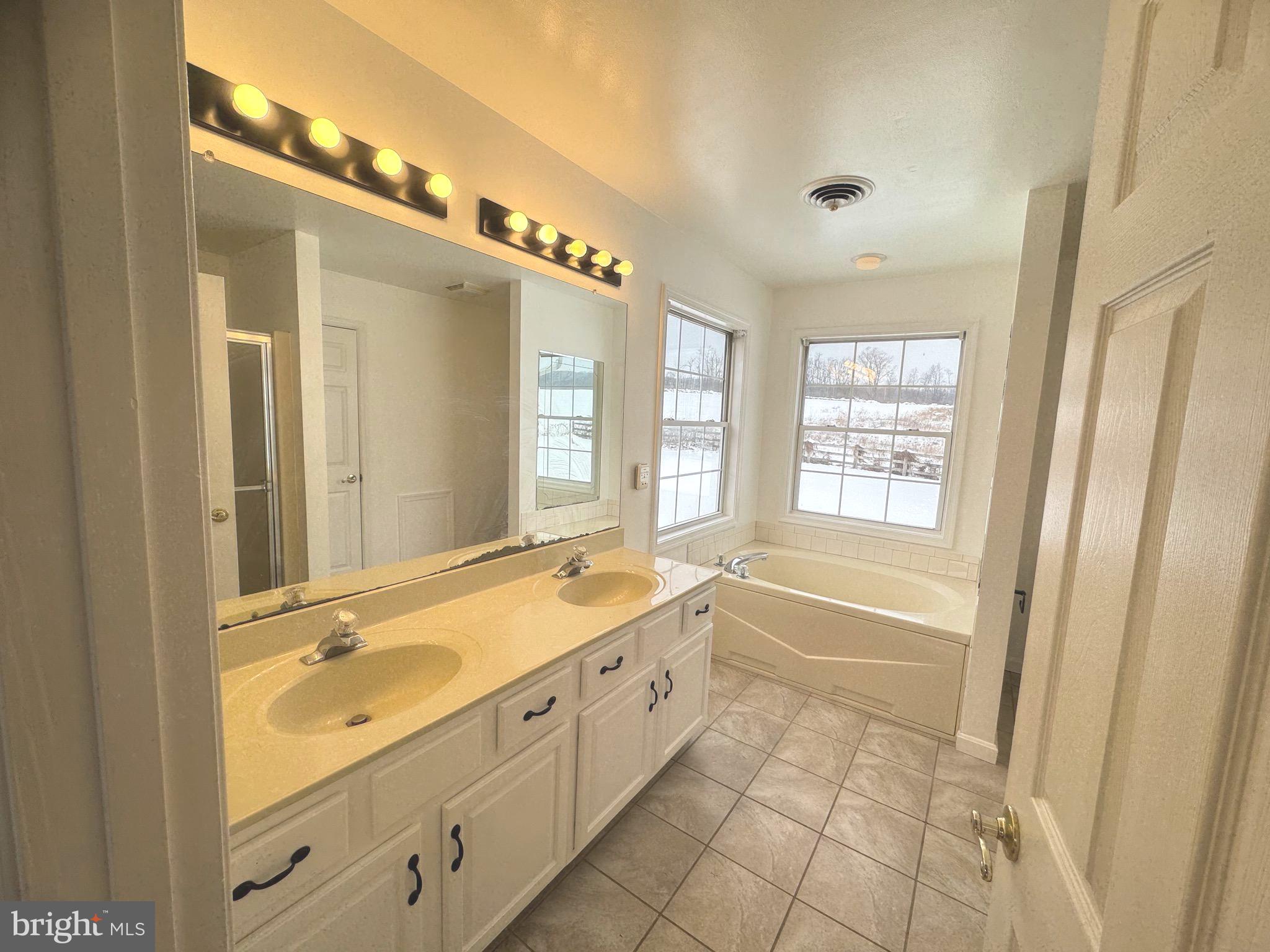 14410 Stottlemyer Road Smithsburg, MD 21783 - Photo 14 of 24 a spacious bathroom with a granite countertop tub sink shower and mirror