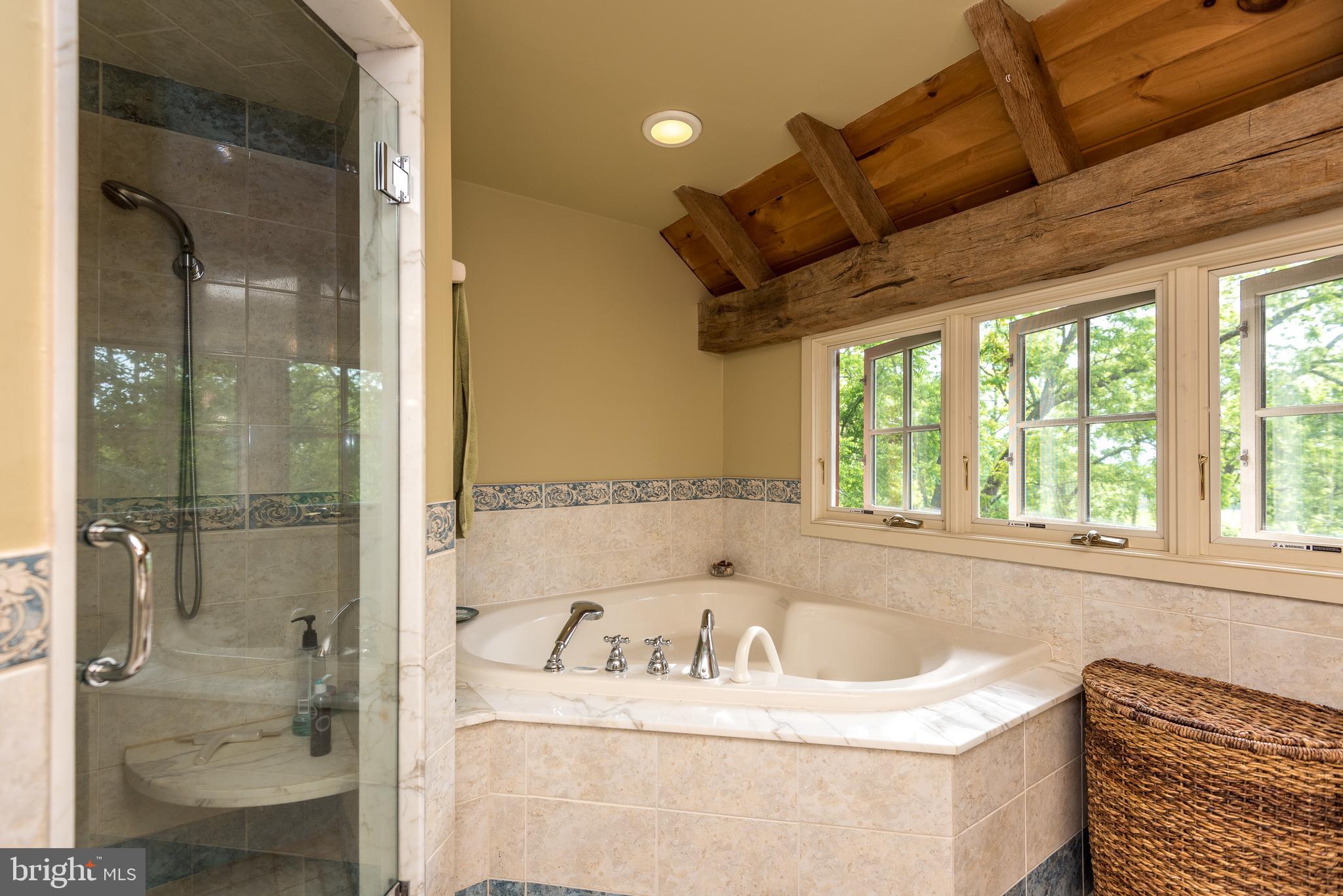 65 Reservoir Road Quakertown, PA 18951 - Photo 22 of 69 Whirlpool Tub & Tiled Shower