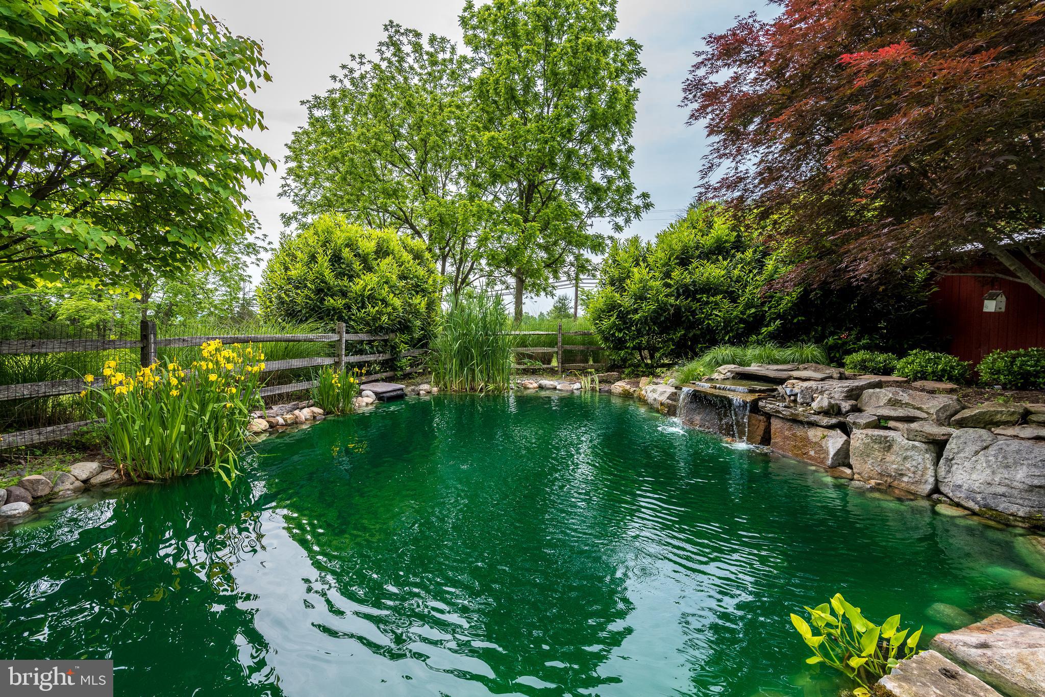65 Reservoir Road Quakertown, PA 18951 - Photo 53 of 69 Swimming Pond