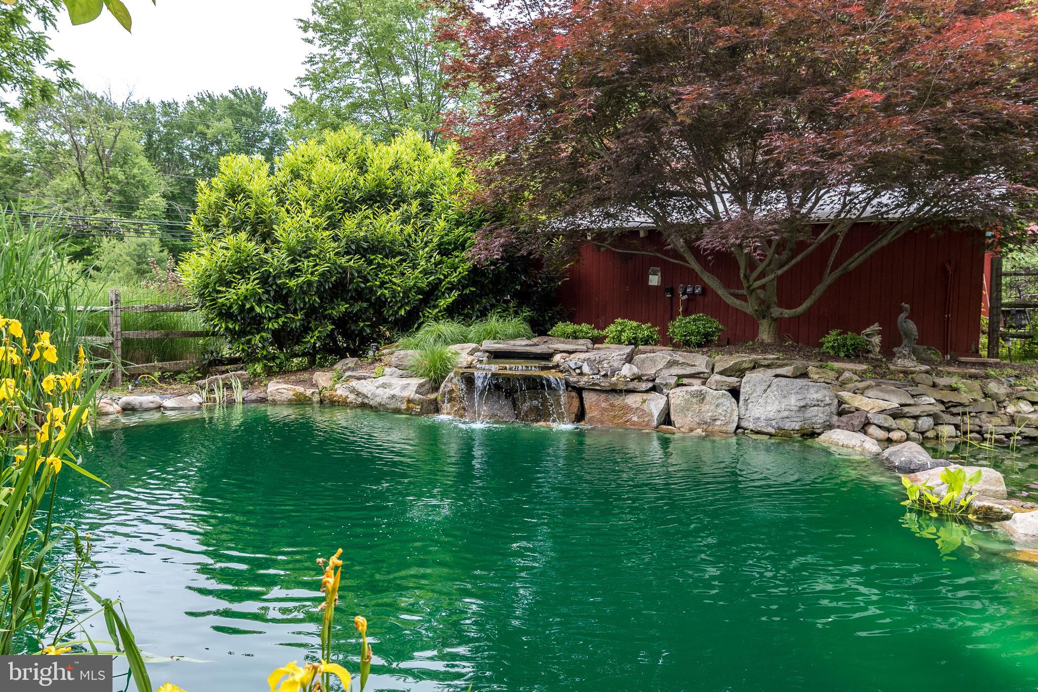 65 Reservoir Road Quakertown, PA 18951 - Photo 54 of 69 Nice Waterfall In Your Swimming Pond