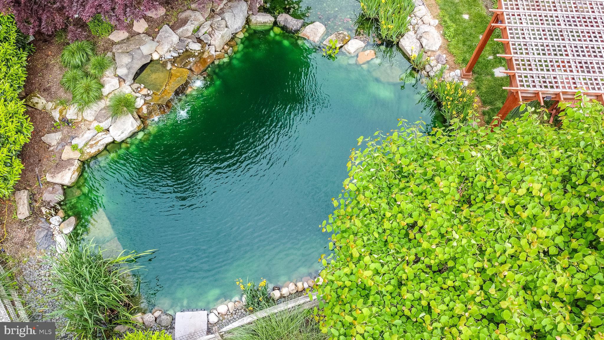 65 Reservoir Road Quakertown, PA 18951 - Photo 56 of 69 Swimming Pond And Waterfall from Above
