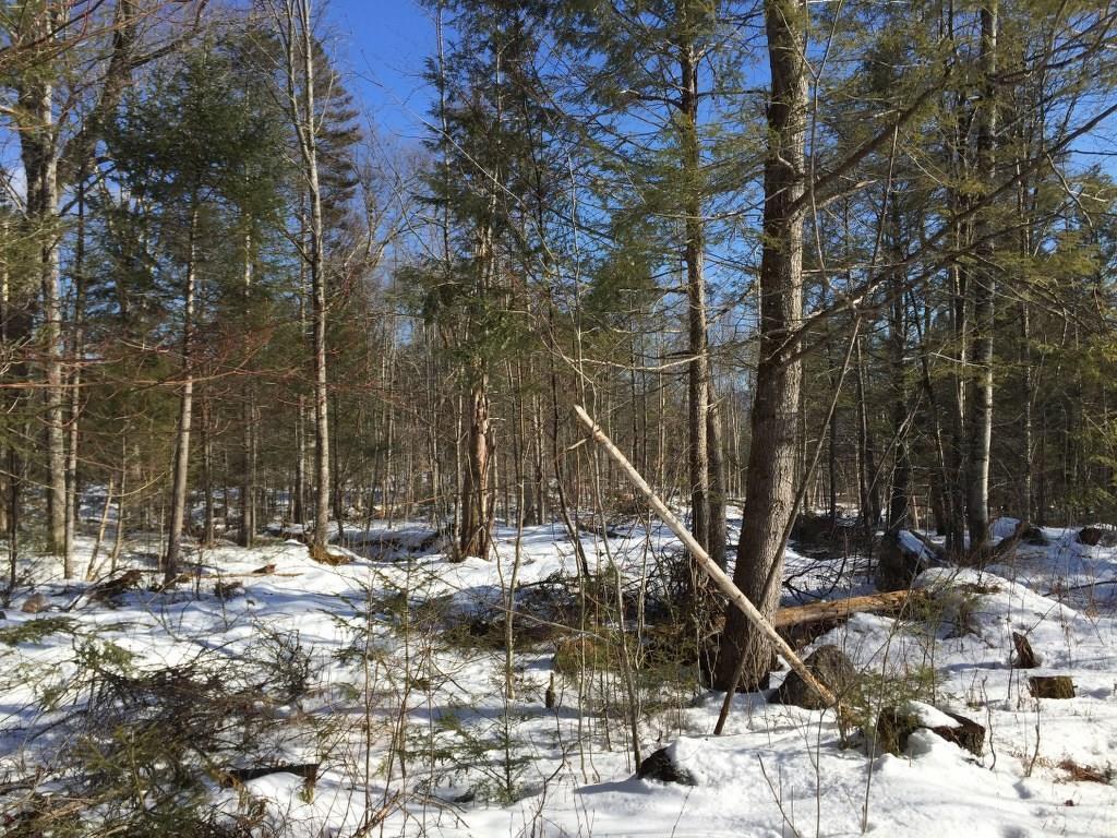 2 Hanover Me 04237 Hanover, ME 04237 - Photo 11 of 30 Photo