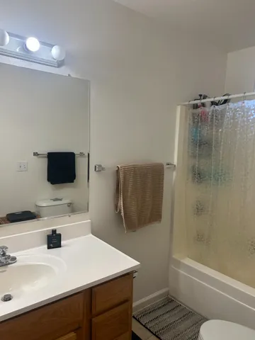 a bathroom with a sink a toilet and shower