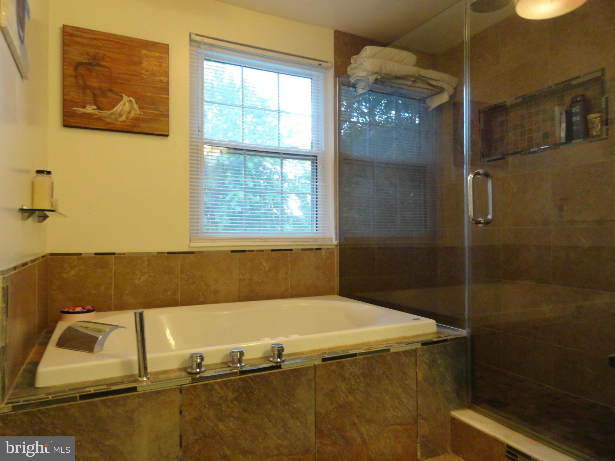 1508 Rainbow Drive Silver Spring, MD 20905 - Photo 25 of 30 Bath (Master)