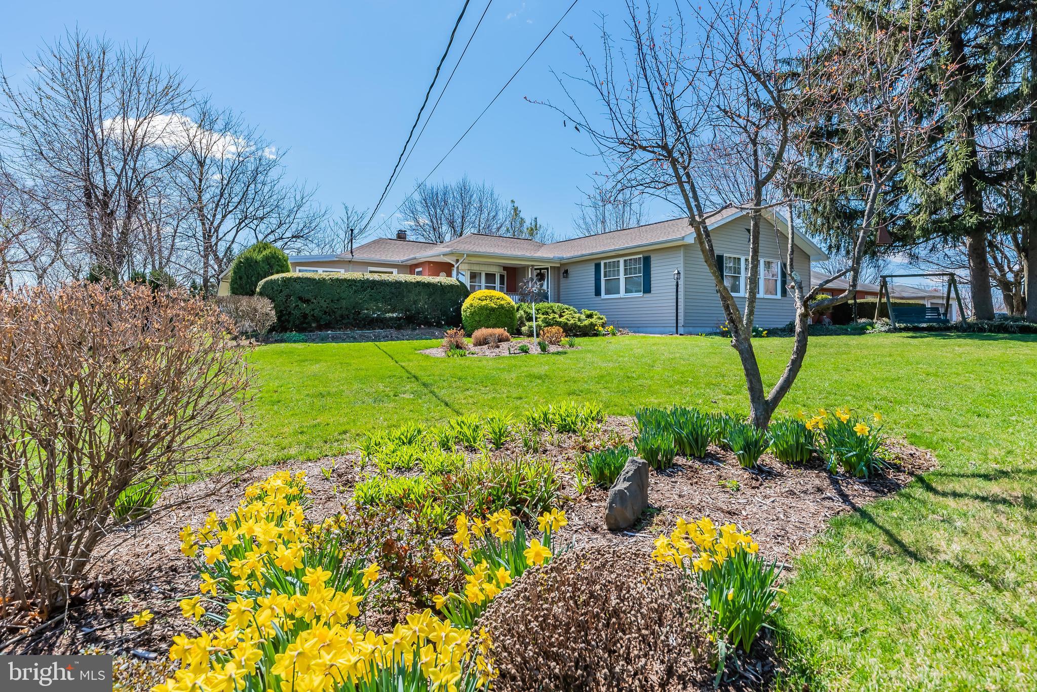 5317 Ridgeview Drive Harrisburg, PA 17112 - Photo 34 of 34 Mature Landscaping