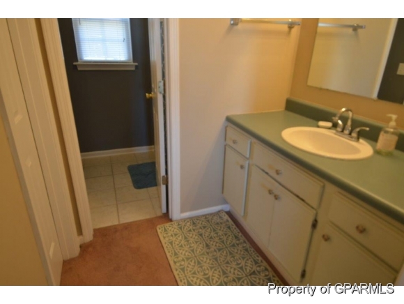334 Old Snow Hill Road Ayden, NC 28513 - Photo 18 of 19 Additional Photo