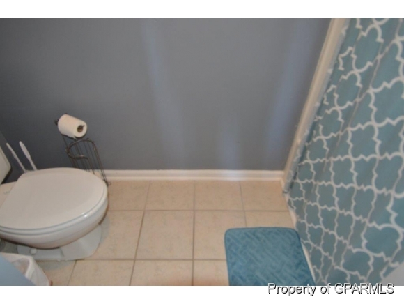 334 Old Snow Hill Road Ayden, NC 28513 - Photo 19 of 19 Additional Photo