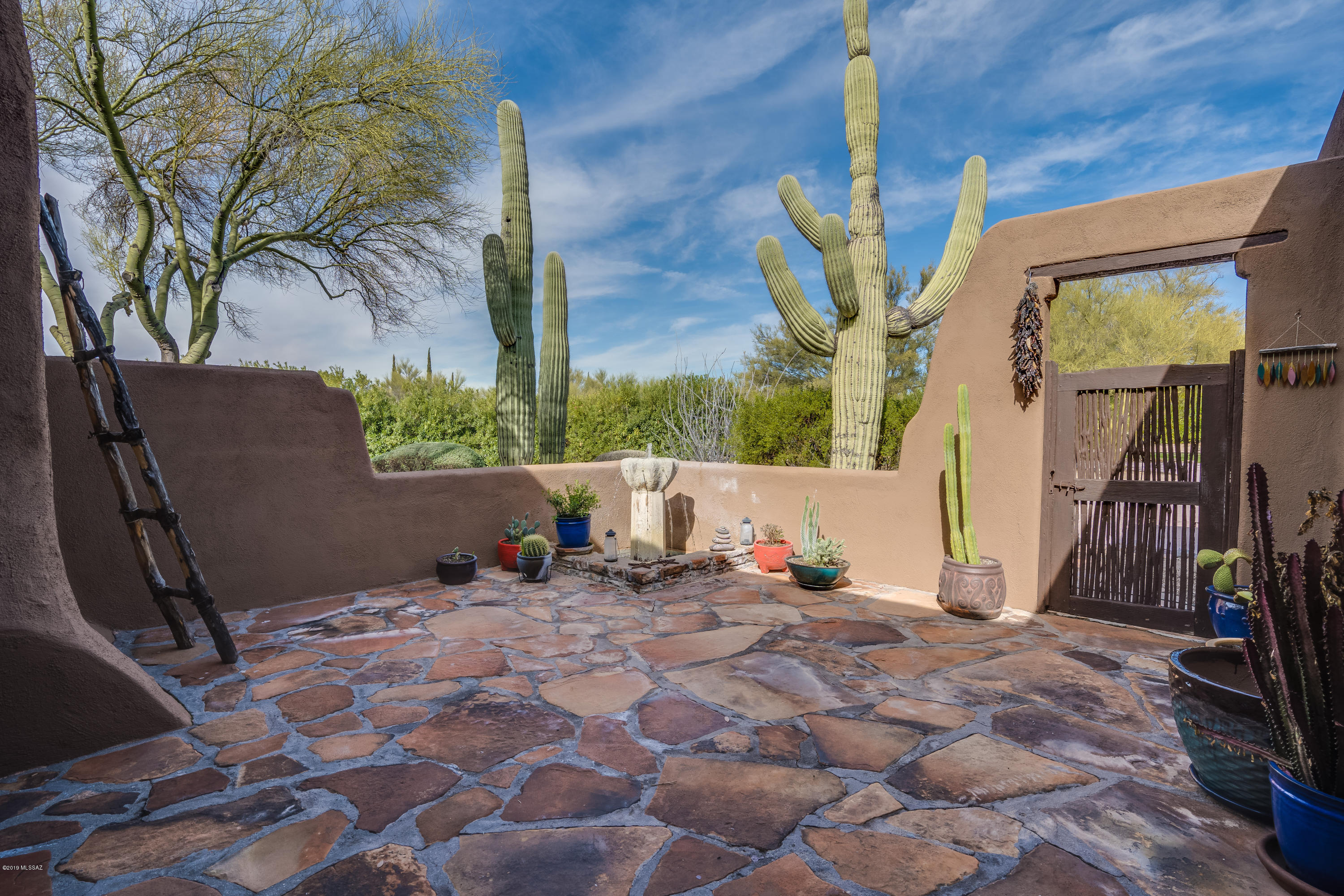 790 West Panorama Road Tucson, AZ 85704 - Photo 39 of 50 Gallery Image 39