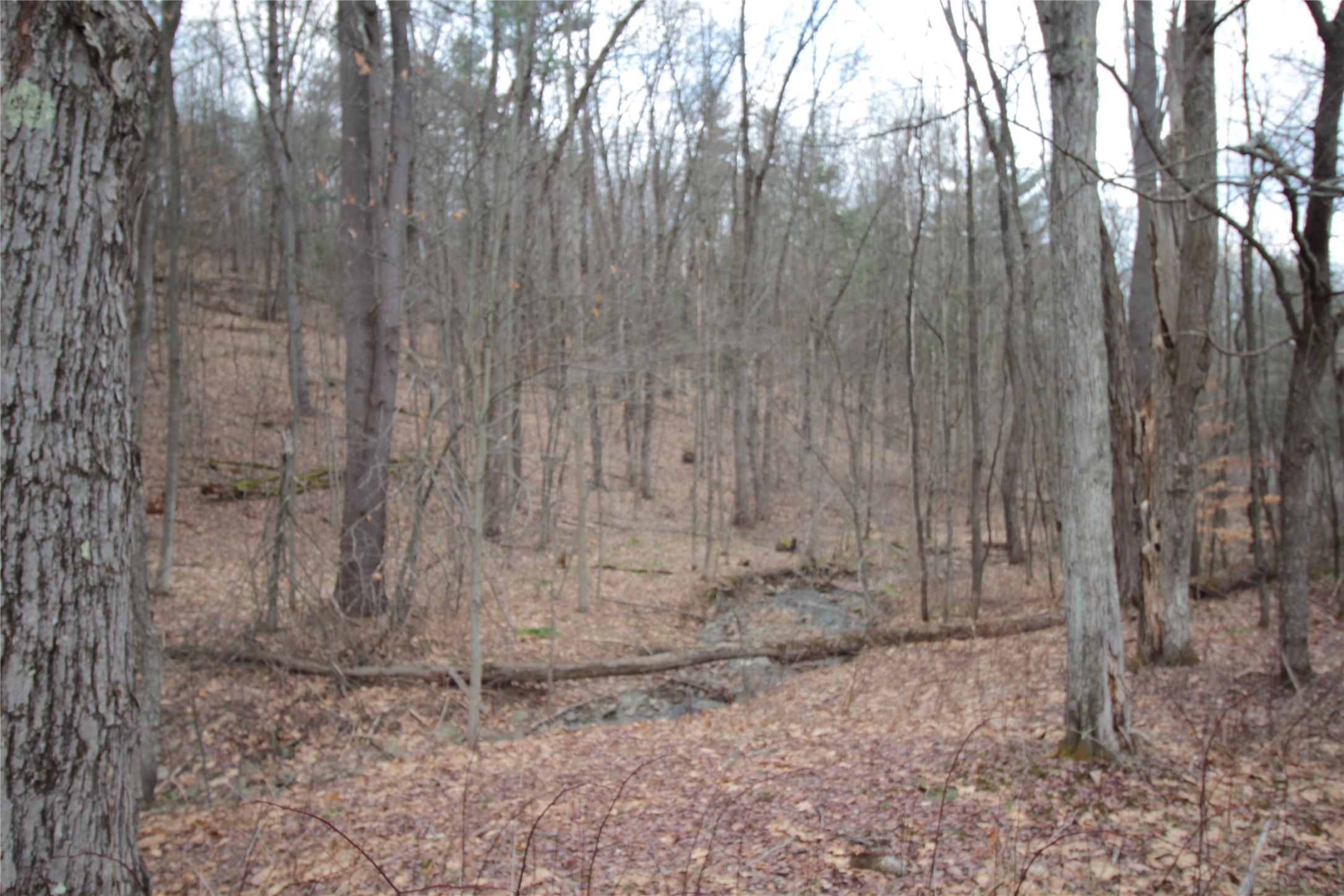851 Nowlan Road Port Crane, NY 13833 - Photo 44 of 50 Gallery Image 44