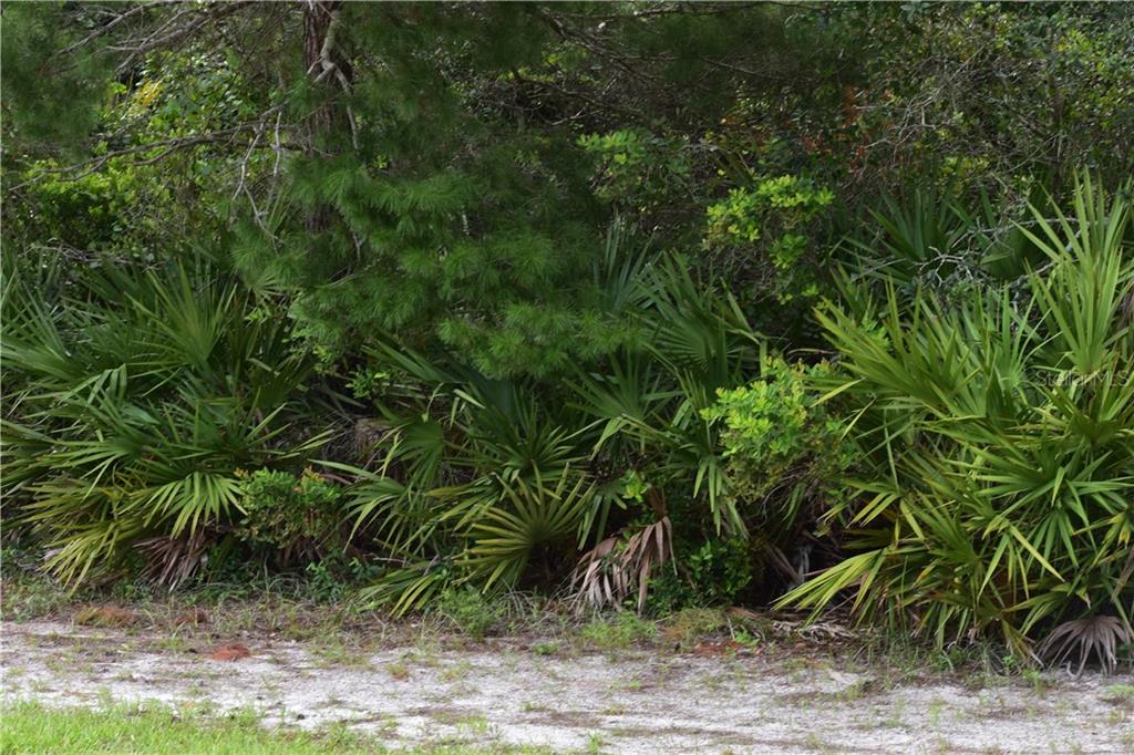 106 Valleyview Road DeBary, FL 32713 - Photo 1 of 1 Gallery Image 1