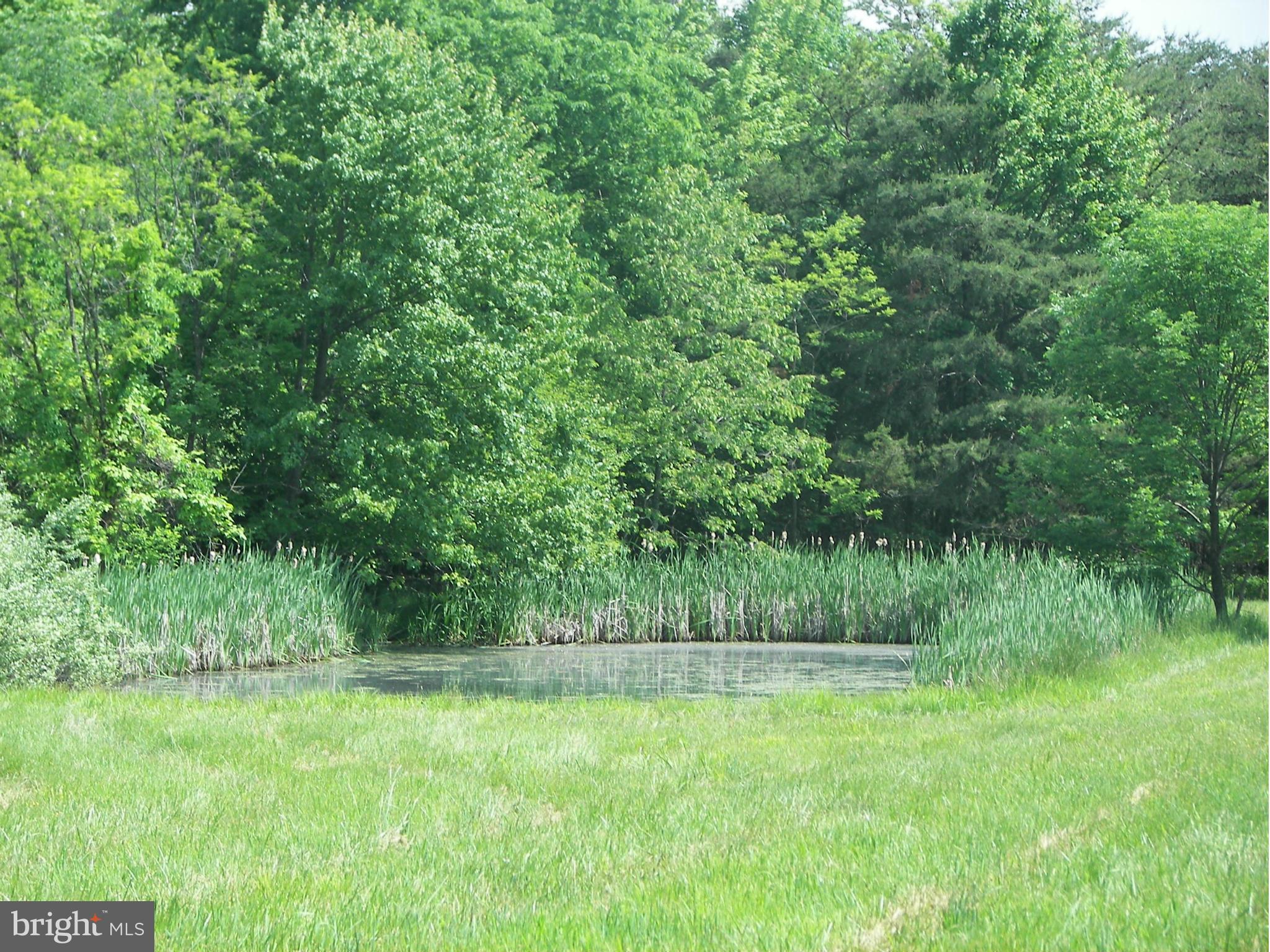 4355 Timber Ridge Road Berkeley Springs, WV 25411 - Photo 1 of 8 a view of backyard with green space