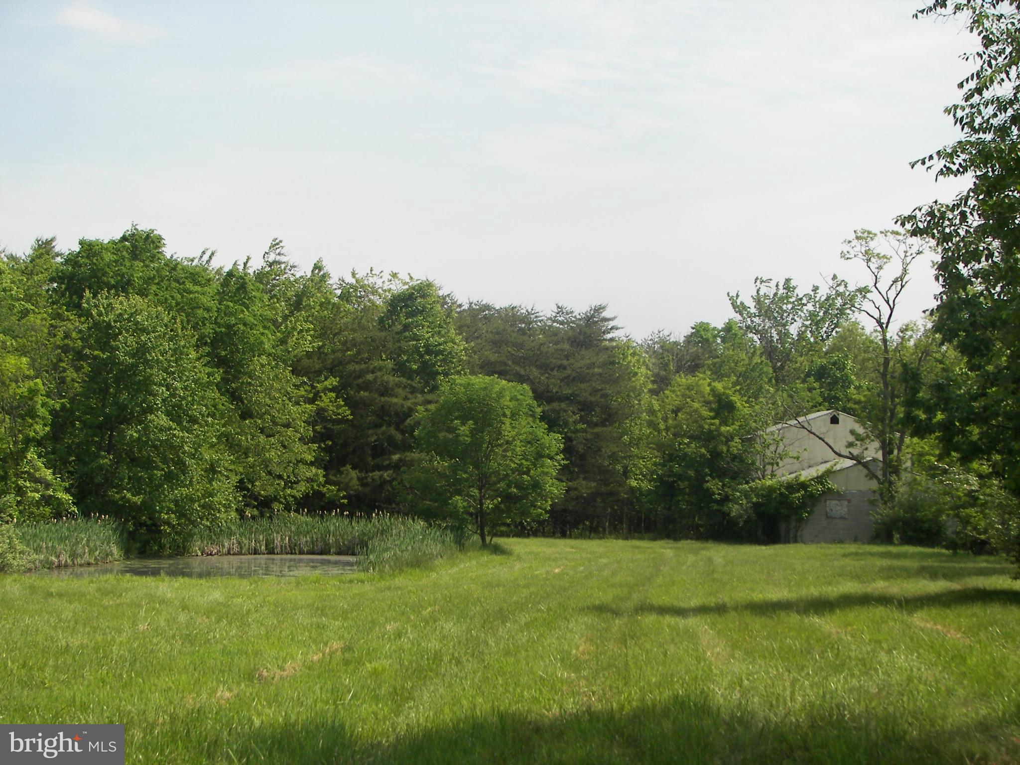 4355 Timber Ridge Road Berkeley Springs, WV 25411 - Photo 2 of 8 a view of grassy field with trees