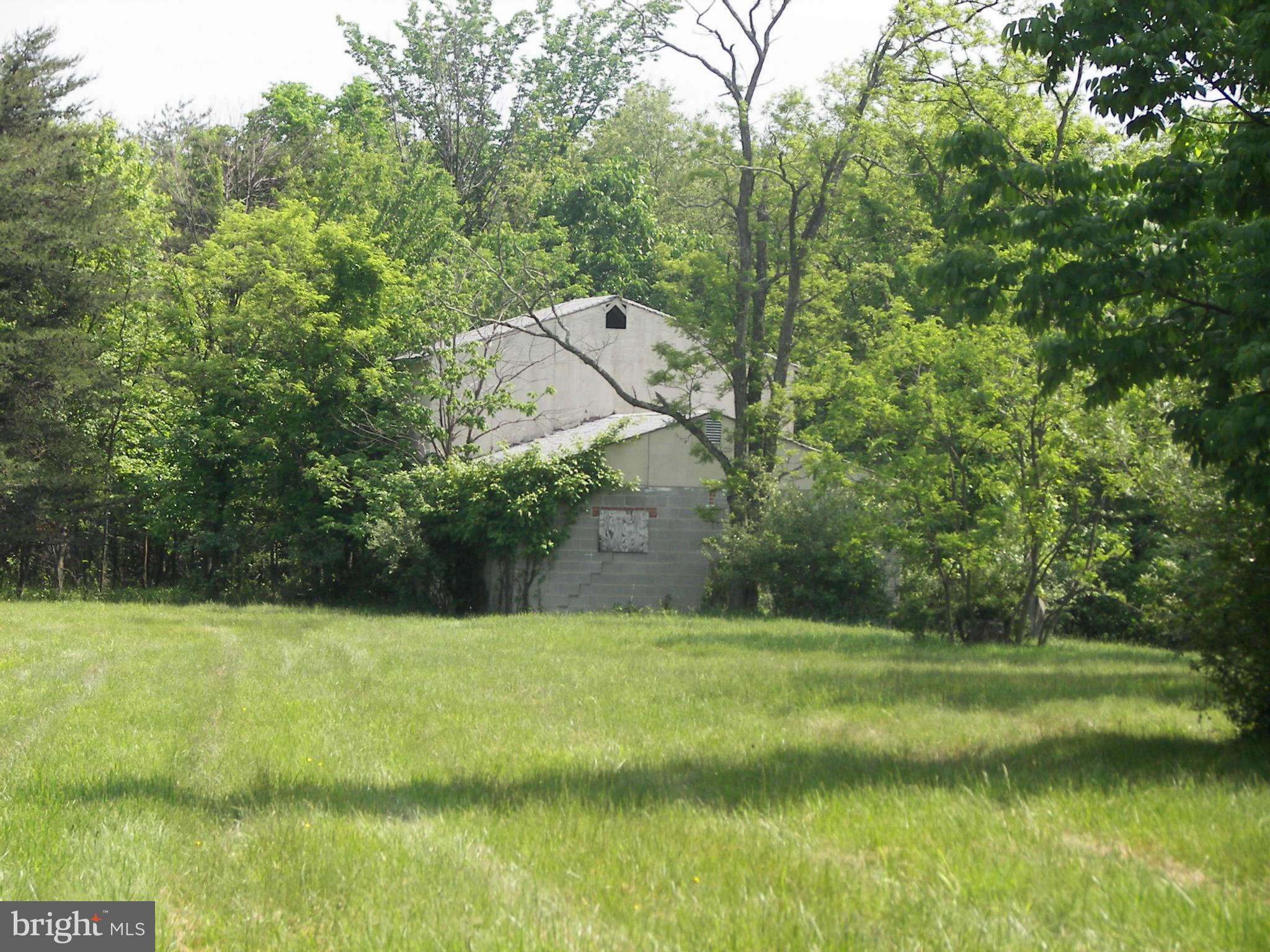 4355 Timber Ridge Road Berkeley Springs, WV 25411 - Photo 3 of 8 a view of a mini pool with a yard