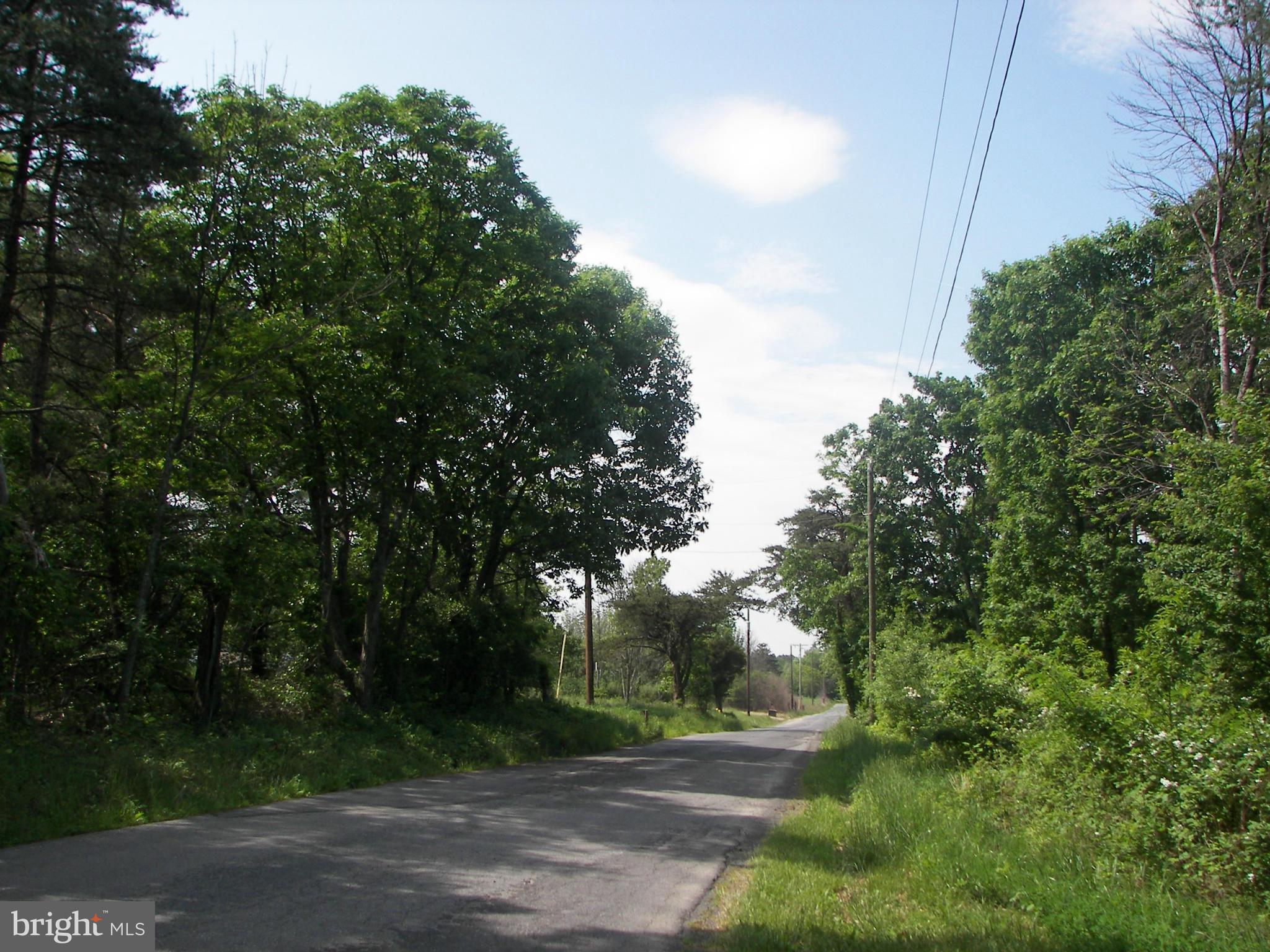 4355 Timber Ridge Road Berkeley Springs, WV 25411 - Photo 6 of 8 a view of street view with tree
