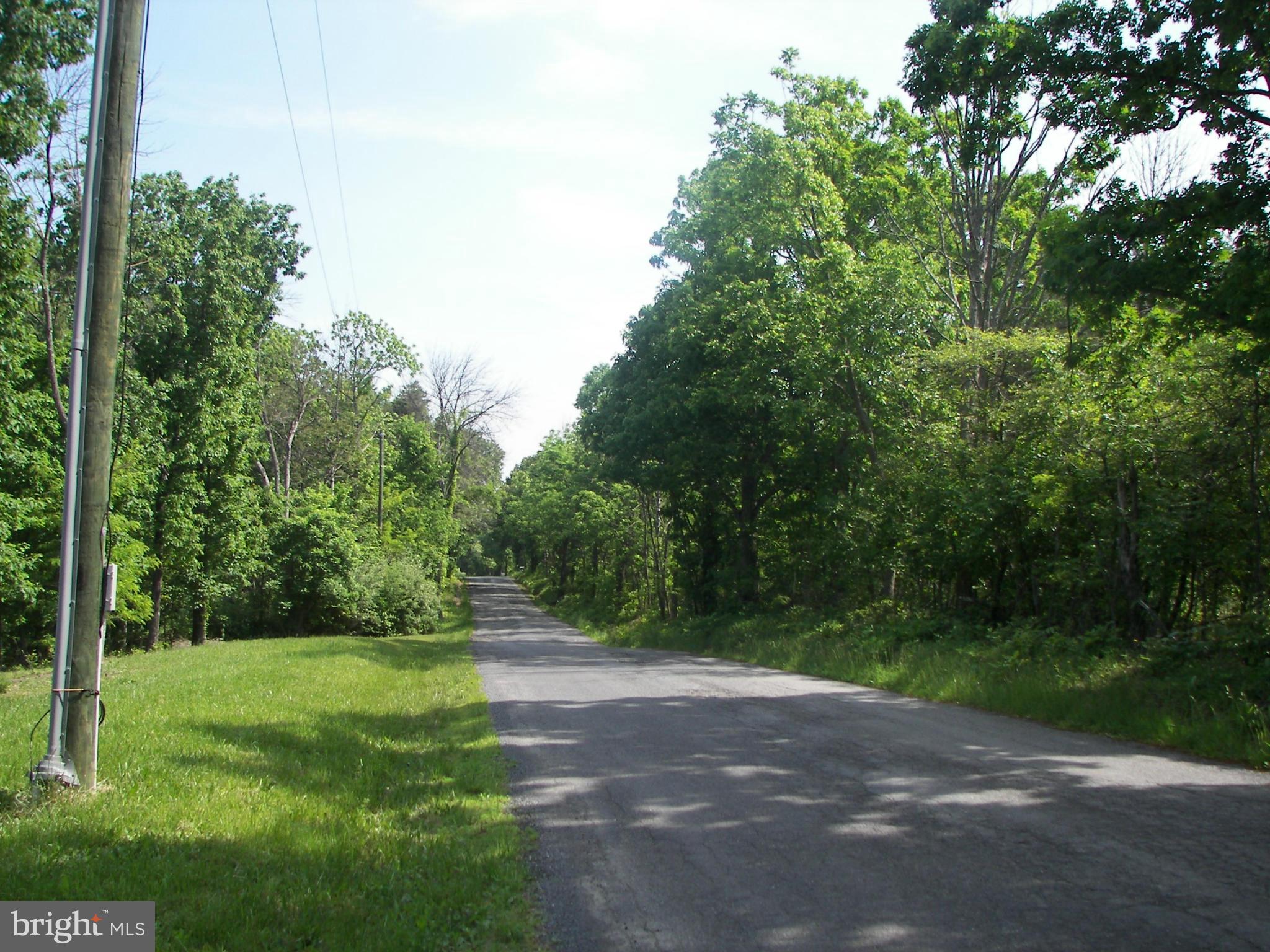 4355 Timber Ridge Road Berkeley Springs, WV 25411 - Photo 7 of 8 a view of a yard with a trees