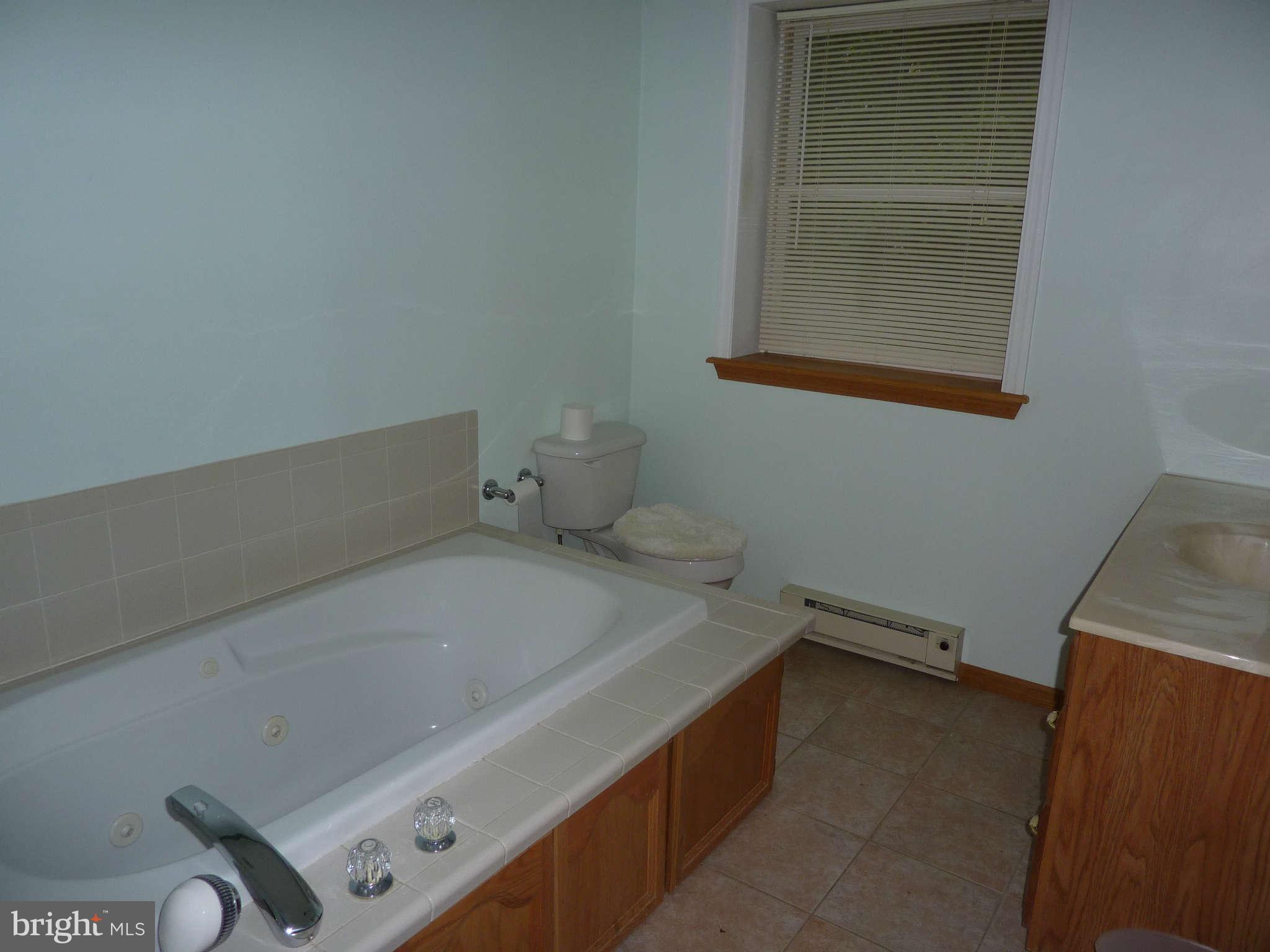 169 Holiday Road Cross Junction, VA 22625 - Photo 14 of 30 Full bath on lower level