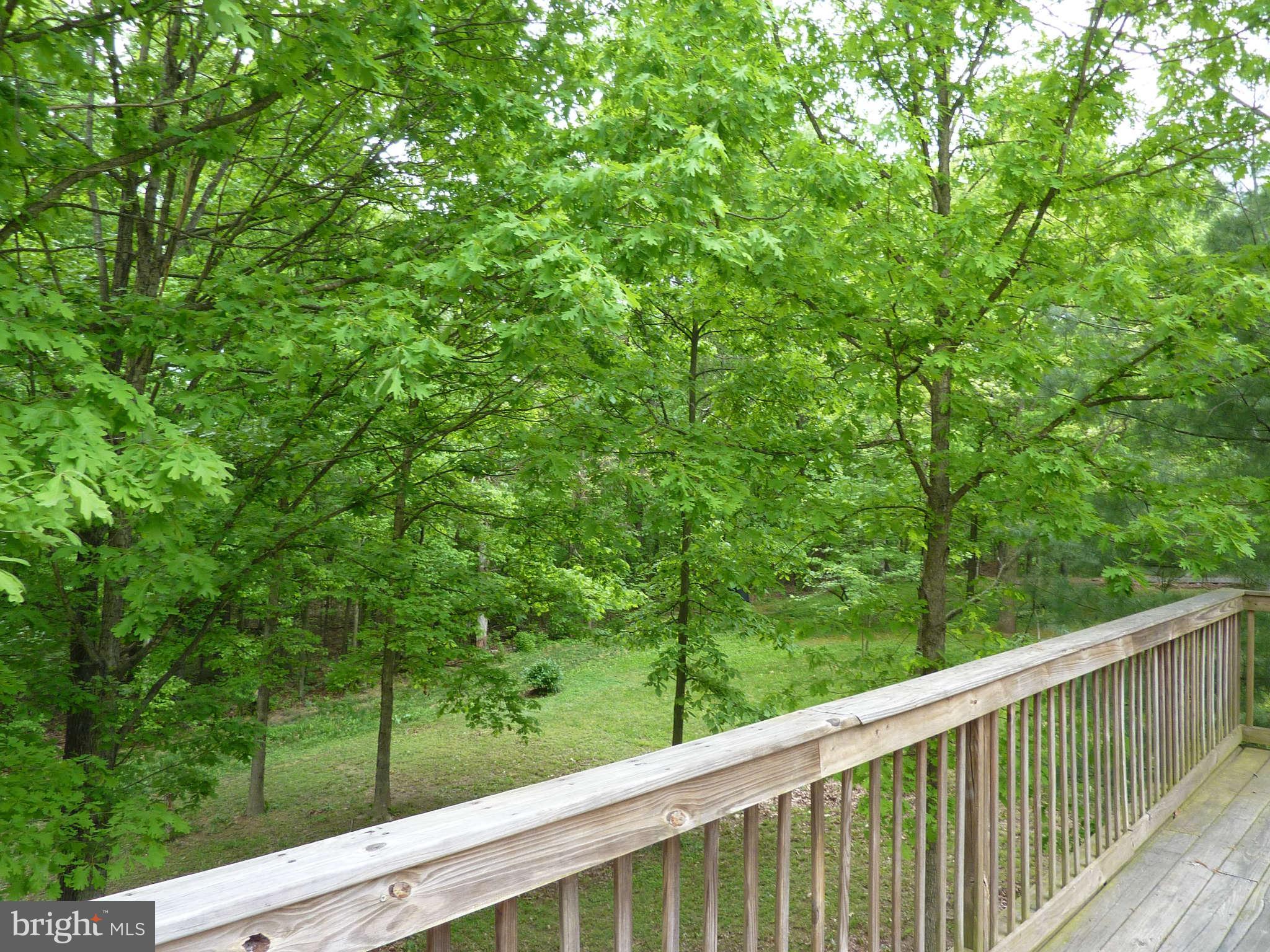 169 Holiday Road Cross Junction, VA 22625 - Photo 17 of 30 View from Deck