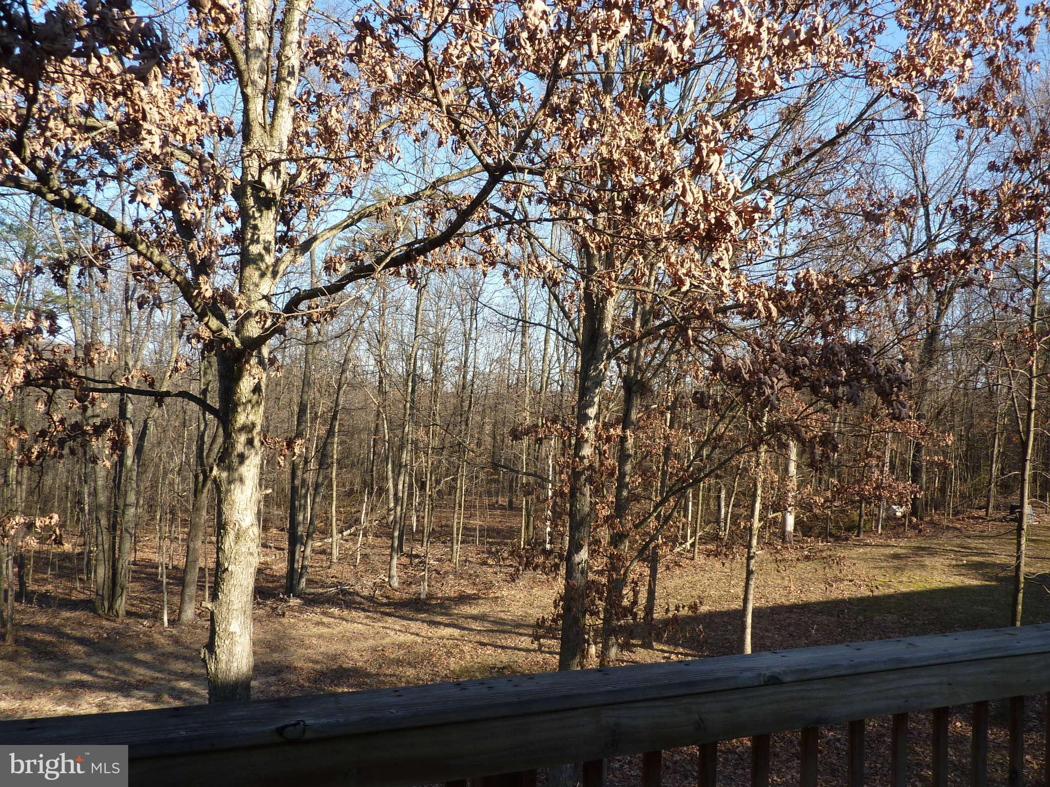 169 Holiday Road Cross Junction, VA 22625 - Photo 20 of 30 Backyard