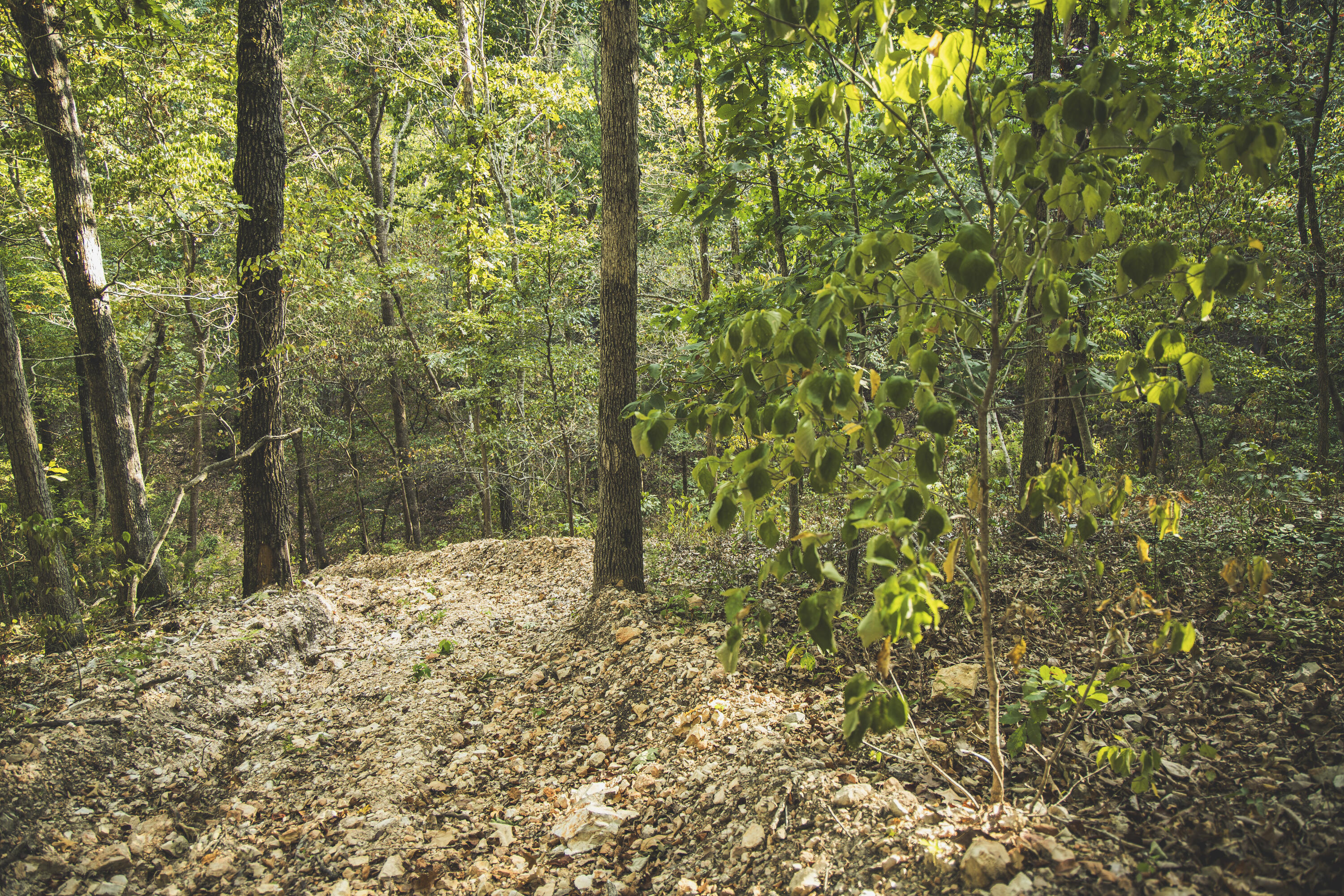 0 Boone Hollow Road Powell, MO 65730 - Photo 49 of 95 MWLG - Boone Hollow 40 - DG048