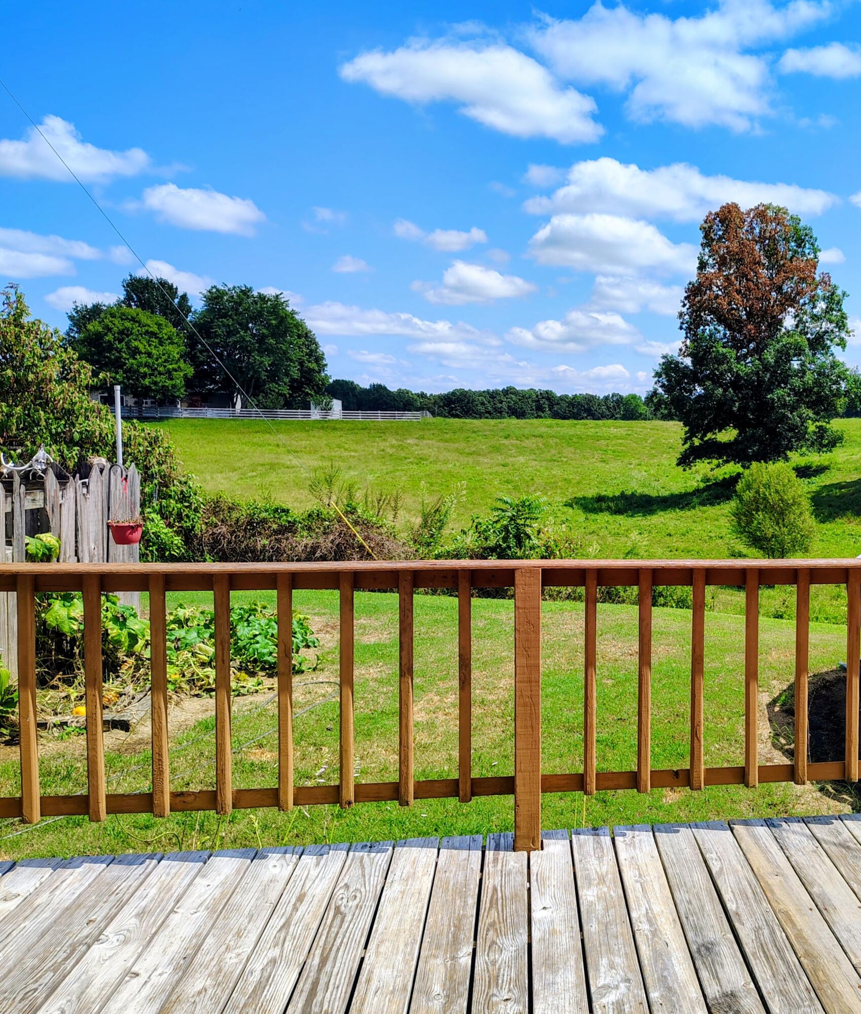 503 Paradise Road Mayfield, KY 42066 - Photo 25 of 27 back deck countryside view