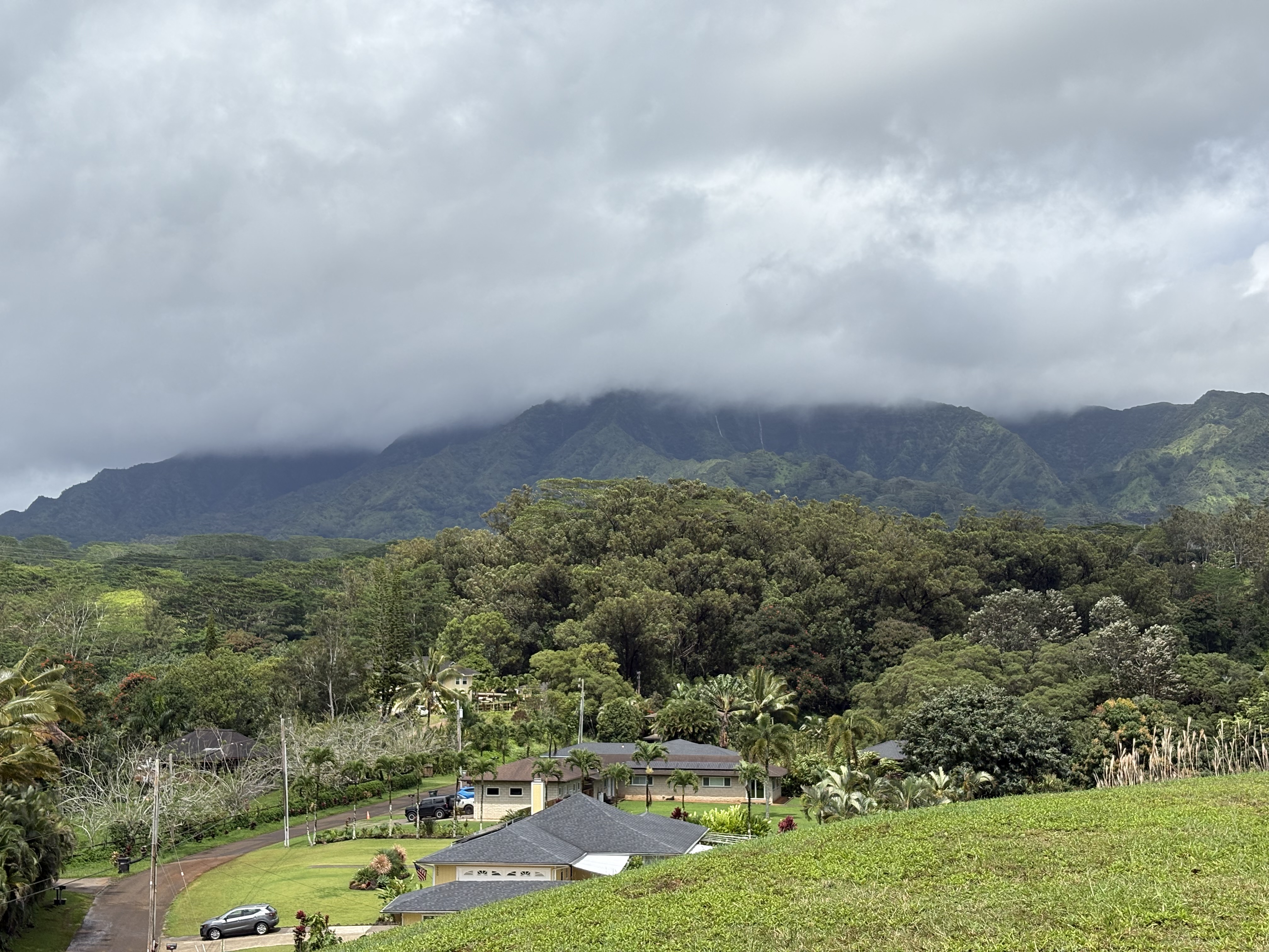 6630 Kipapa Road Kapaa, HI 96746 - Photo 10 of 20 an aerial view of residential houses with outdoor space and trees