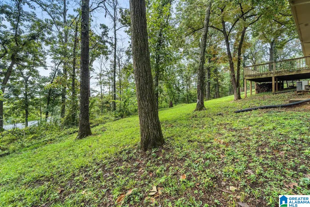 676 Navajo Trail Alabaster, AL 35007 - Photo 16 of 22