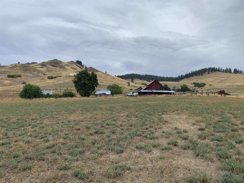 4966 Melin Road Hunters, WA 99137 - Photo 1 of 19 Gallery Image 1