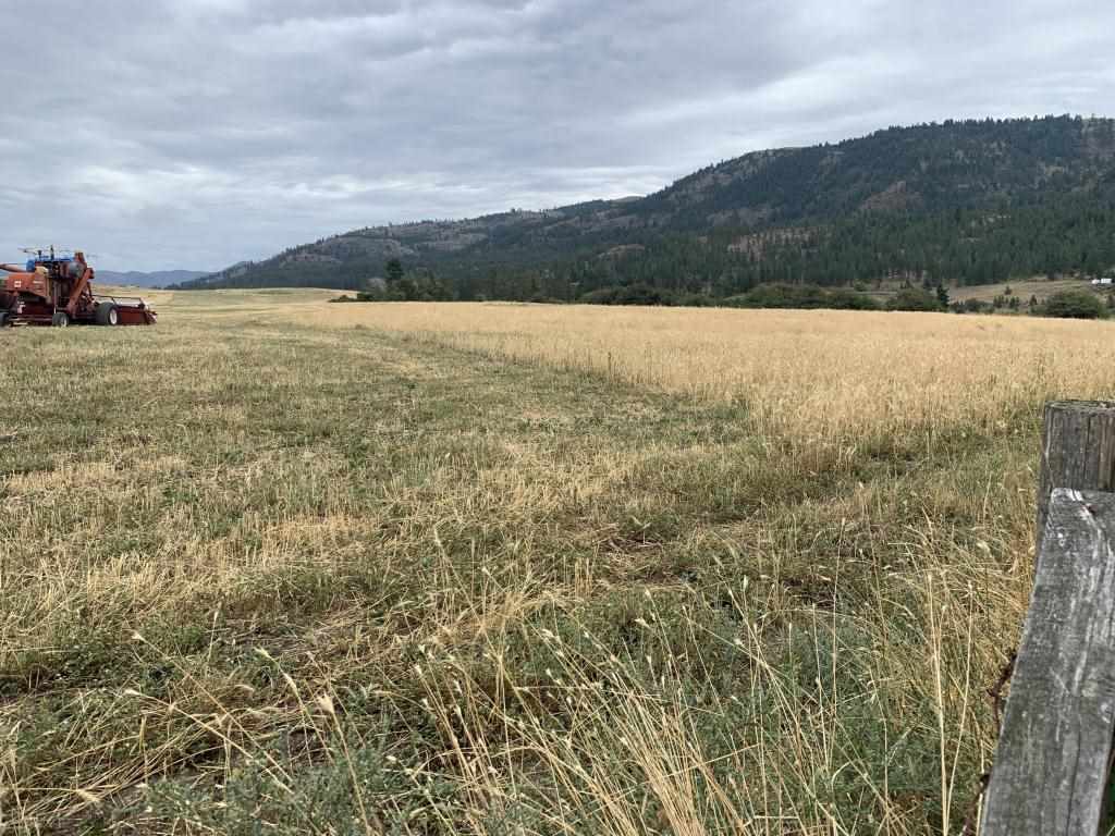 4966 Melin Road Hunters, WA 99137 - Photo 13 of 19 Gallery Image 13