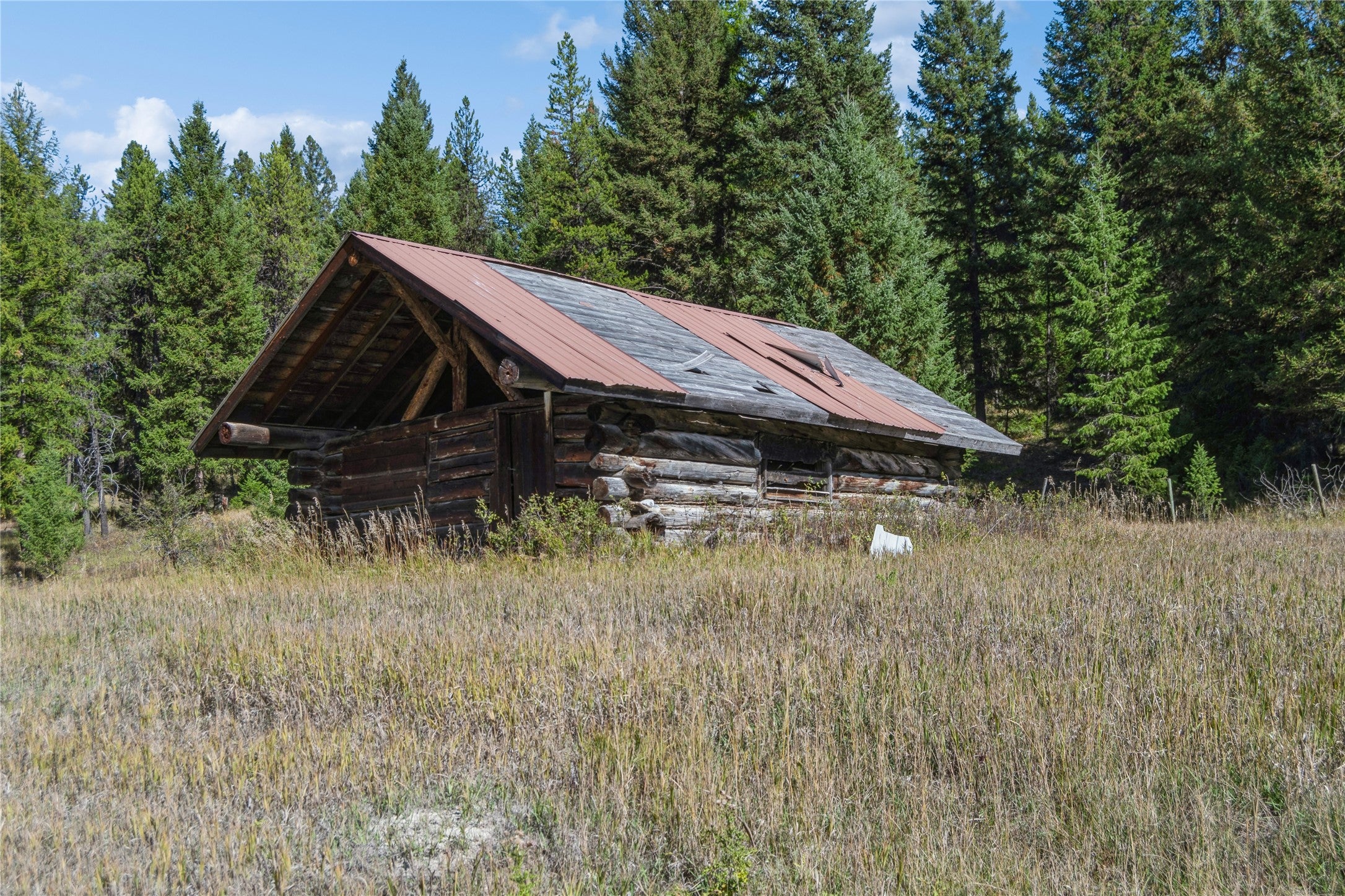 3217 Loon Lake Road Trego, MT 59934 - Photo 10 of 39 Gallery Image 10