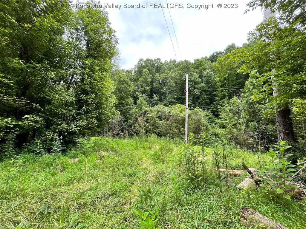 0 Trading Post Road Clendenin, WV 25045 - Photo 3 of 17 Gallery Image 3