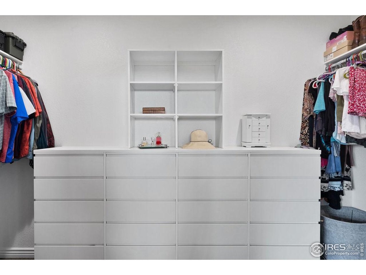 3050 Native Court Wellington, CO 80549 - Photo 23 of 50 Custom Walk-in Closet with Built-in Storage