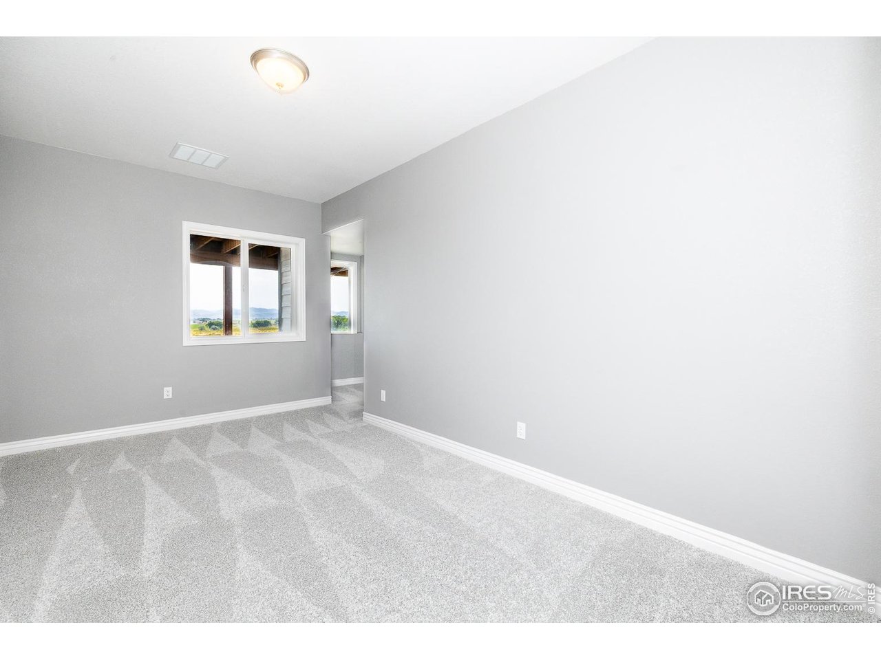 3050 Native Court Wellington, CO 80549 - Photo 40 of 50 Downstairs Bedroom #2