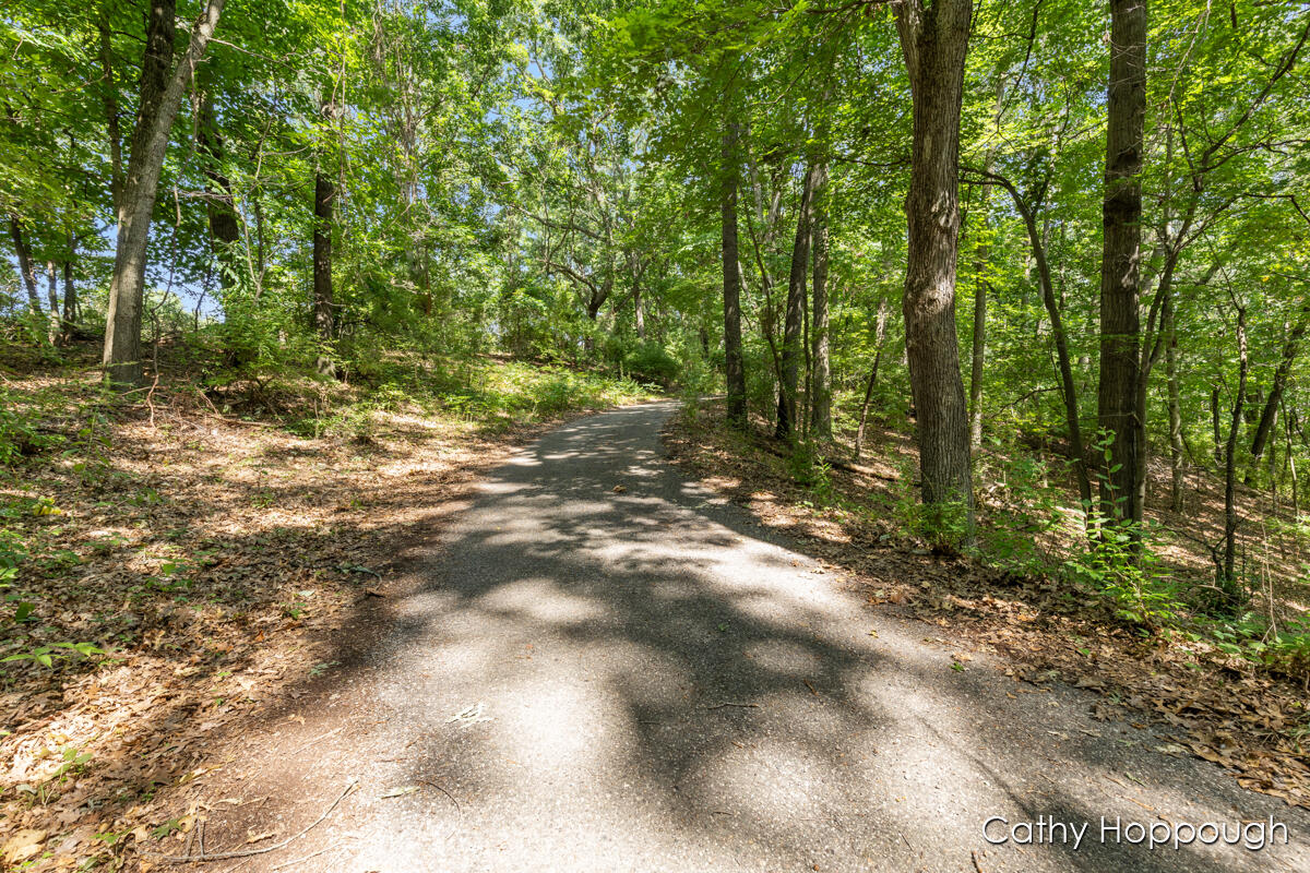 735 Prairie Creek Road Ionia, MI 48846 - Photo 5 of 77 IMG_1005