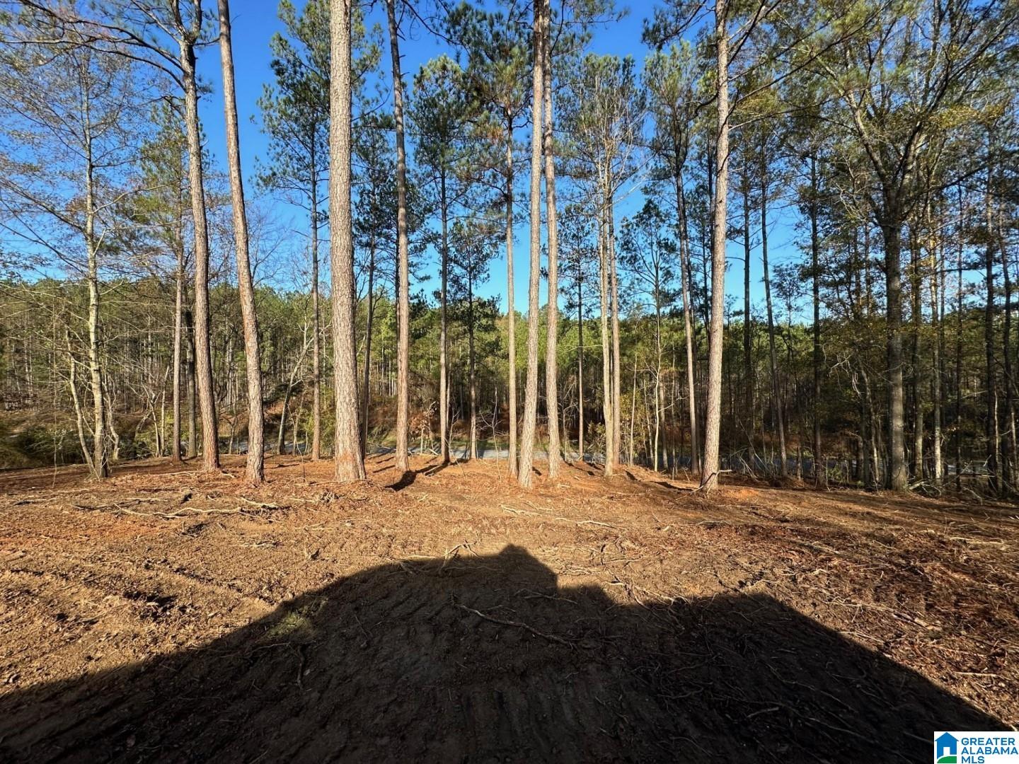 Firehouse Road, Unit 3 36 Goodwater, AL 35072 - Photo 2 of 7