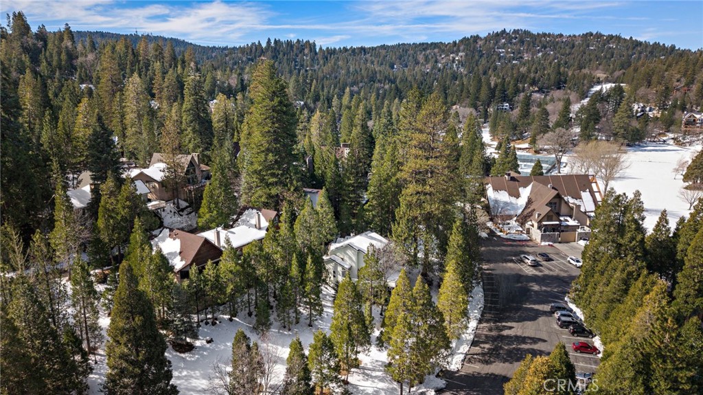 180 Grass Valley Road, Unit 20 Lake Arrowhead, CA 92352 - Photo 61 of 67