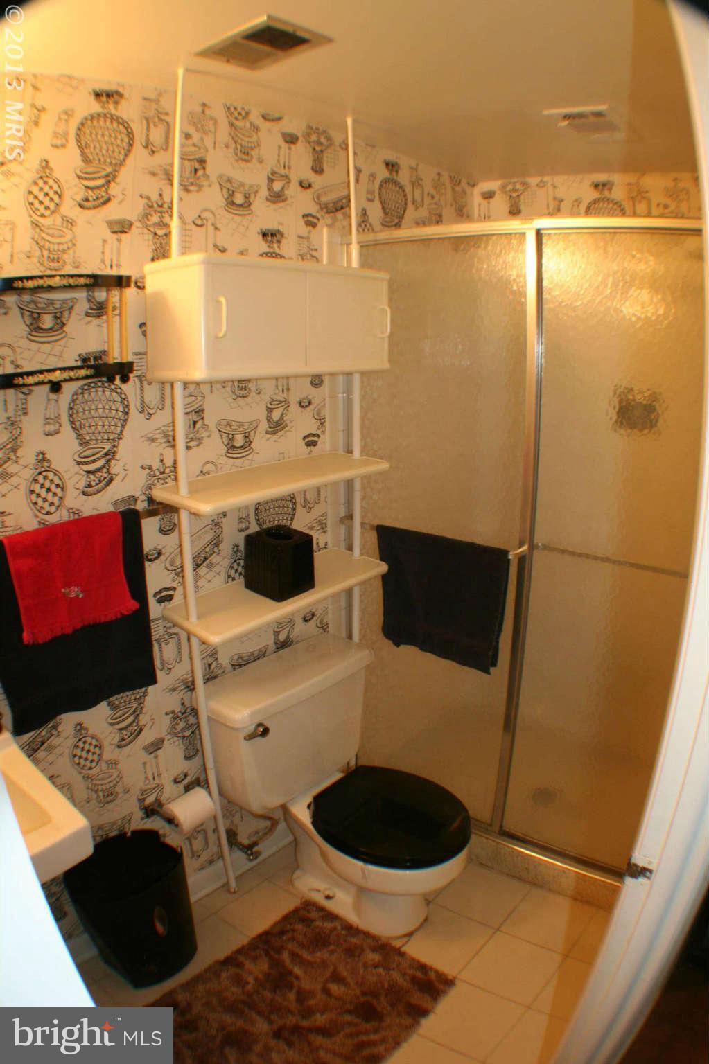 10100 Charington Road Cockeysville, MD 21030 - Photo 13 of 27 Lower Lv Bath room h