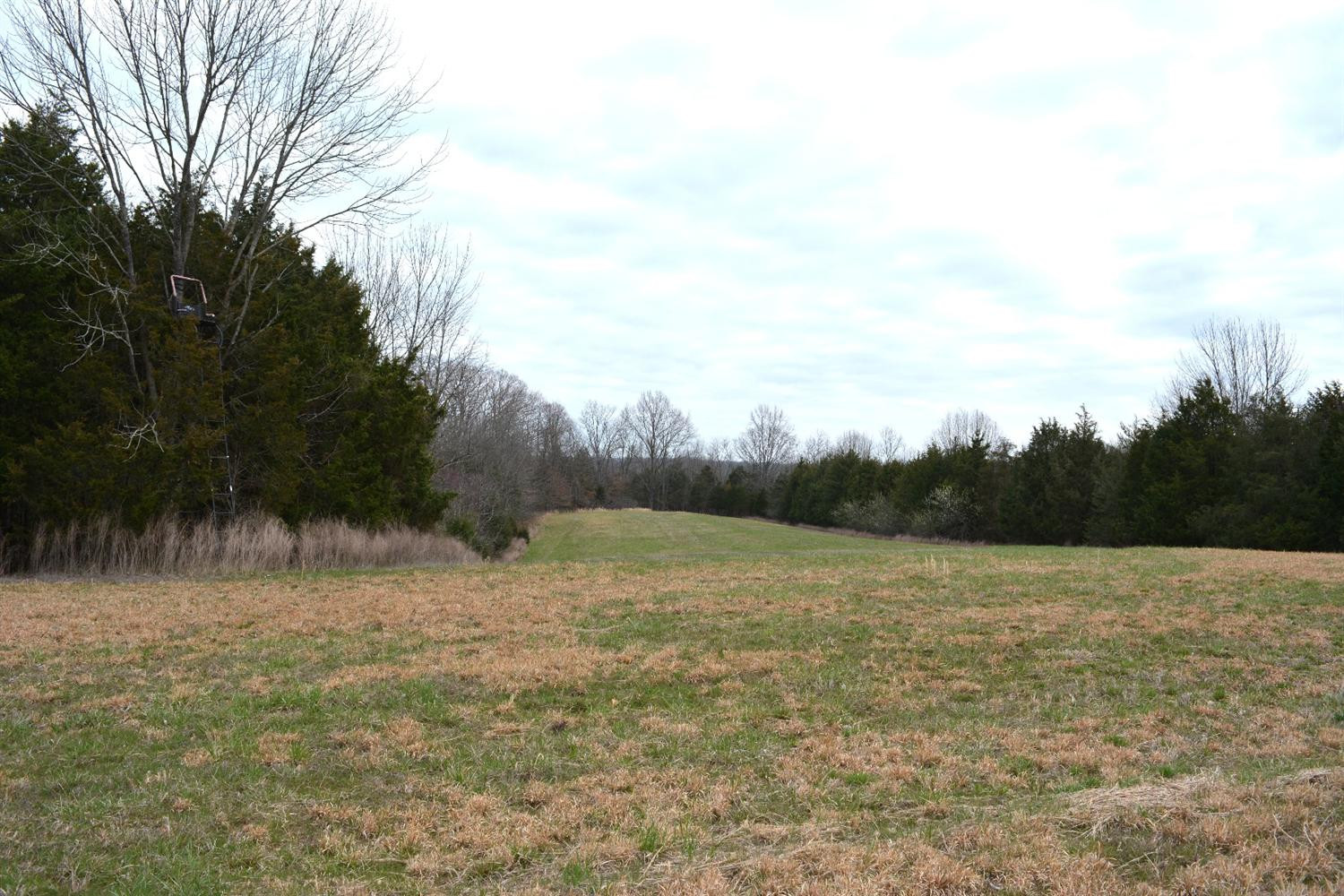 1 Ashes Creek Road Bloomfield, KY 40008 - Photo 19 of 21 Photo 19